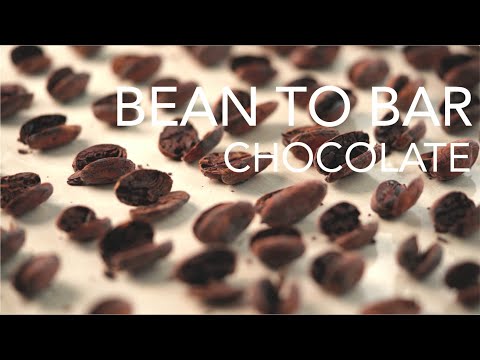 Agroforestry Cacao Chocolate
