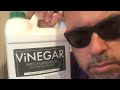 VINEGAR Weed & Grass Killer...LiT!!!  Roundup Replacement!!!