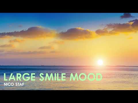 🎵Nico Staf - Large Smile Mood