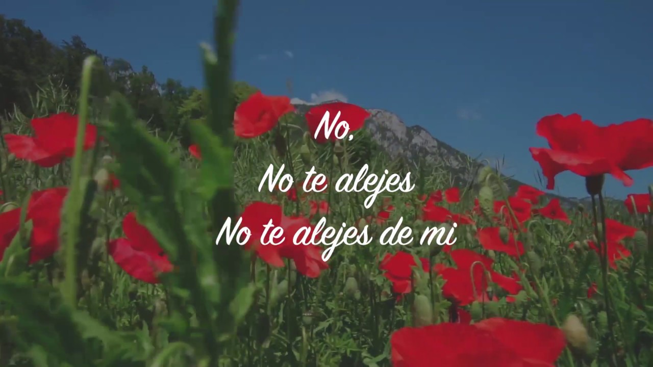 Watch Carlos Müller Barturen - Poema: No te alejes de mi Now Carlos Müller Barturen - Poema: No te alejes de mi