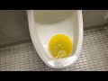 Sink Albrook And Afwall In One Restroom Stall