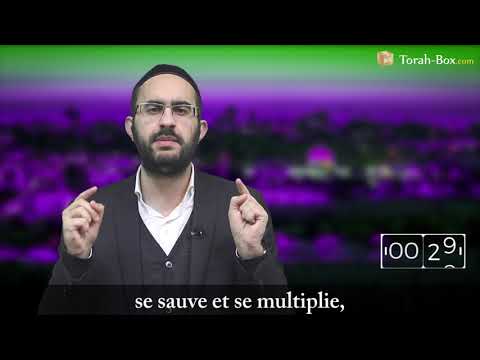 La Paracha en 1 minute : Chémot (Binyamin Benhamou | בנימין בן-חמו)