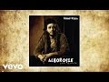 Alborosie - Sound Killa (audio) 