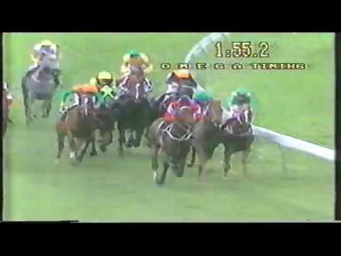1983 MVRC W S Cox Plate
