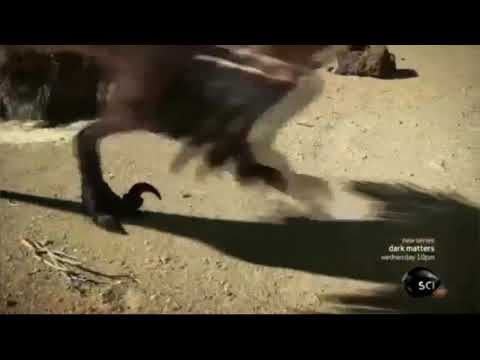 Utharaptors peleando por un rapetosaurus con musica de linkin park de fondo