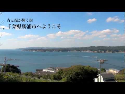 千葉県勝浦市への移住【メリットやデメリット】｜移住マップ