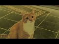 RQ Shortest Video On YouTube Part 2 Effects Inspired By SF1 Ident 2005 Effects