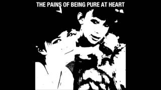 The Pains Of Being Pure At Heart - Contender