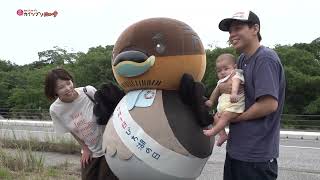 2026/9/9放送・知ったかぶりカイツブリにゅーす