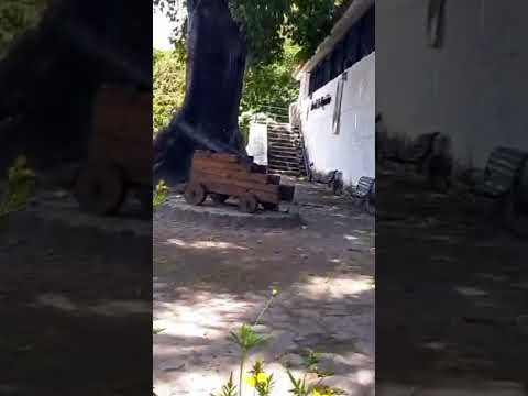 Las flores de Honda Ciudad de los Puentes