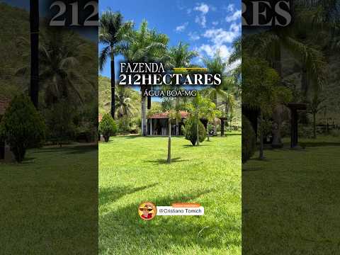 FAZENDA 212 HECTARES ÁGUA BOA-MG R$ 6 MILHÕES #fazenda #agro #mercadoagricola #minasgerais #luxo