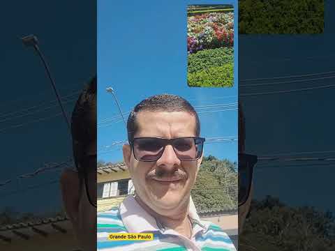 Um tour por Santana de Parnaíba, grande São Paulo.