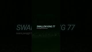Download lagu Terbaru suara burung walet panggil birahi #berandayoutobe #burungwalet #budidayawaletasiatenggara mp3