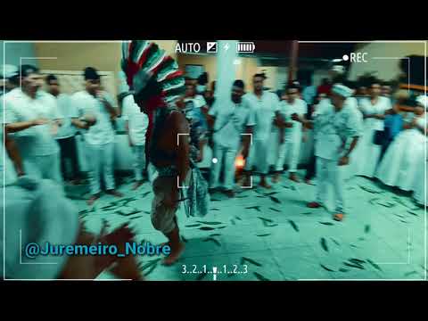 sai de Minha aldeia sem lelê Lalá