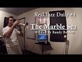 Real Jazz Daily #4 The Marble Sea by Randy Brecker