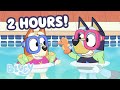 LIVE Exploring The Outdoors With Bluey And Friends 2 HOURS Bluey