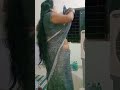 Qute Mini Vlog Saree Draping Vlog