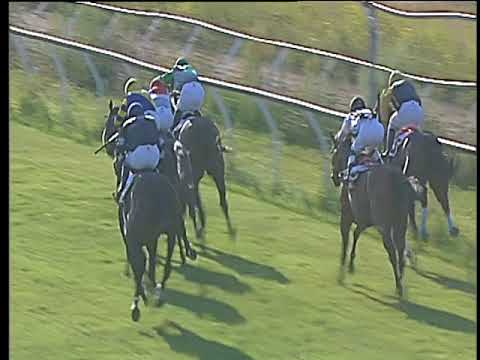 Galoppo 23/08/2017 - 2ª corsa