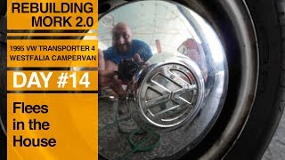 How to Get Rid of Bedbugs or Fleas in Your House