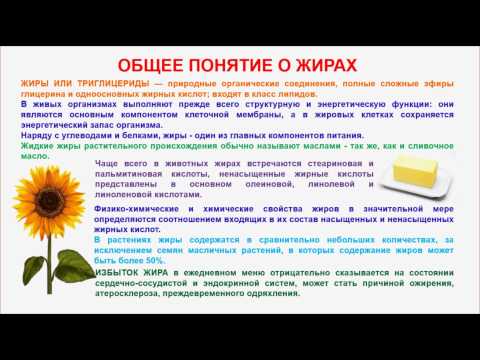№ 113. Органическая химия. Тема 20. Жиры. Часть 1. Общее понятие о жирах