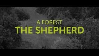A FOREST / The Shepherd