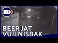 Beer rijdt vuilnisbak uit omheinde tuin nabij Denver | NU nl