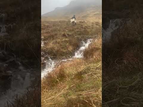 Forestry worker planting trees steep mountain slopes Scotland Isle of Mull 