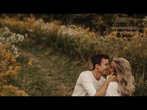 Hi-Fi- Мы не ангелы