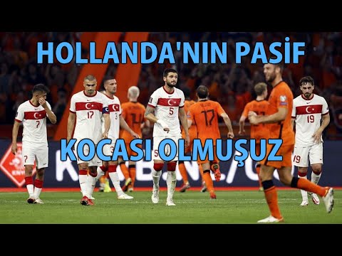 MP - We have become the passive husband of the Netherlands