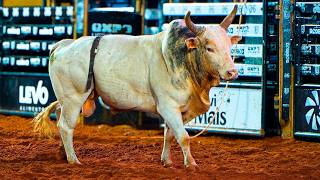 Rodeio de Umuarama PEGOU FOGO! Os touros NÃO DERAM CHANCE aos cowboys