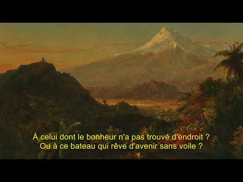 Video thumbnail for La fleur de l’ombre