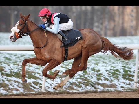 Dortmund: Preis der German Tote Annahmestelle (D) - Siegerin: Let's Dance