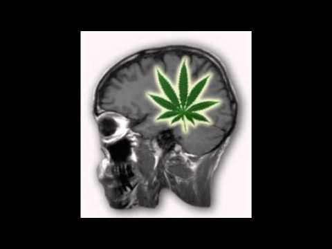 Star-E - Brain Cannabinoids