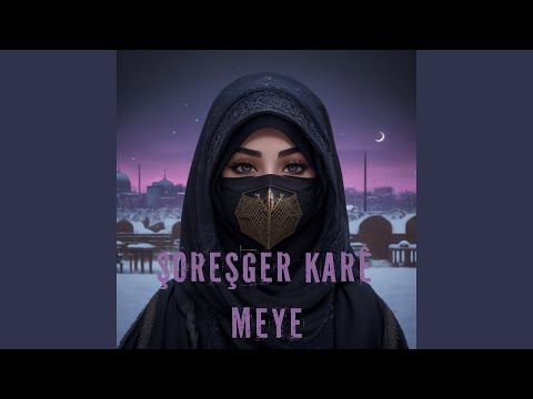 Şoreşger Karê meye