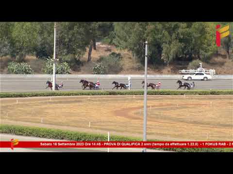 Prova di Qualifica del 16 Settembre 2023 - 2 Anni - Metri 1600