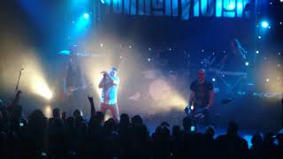 Terrorvision &#39;new policy one&#39;