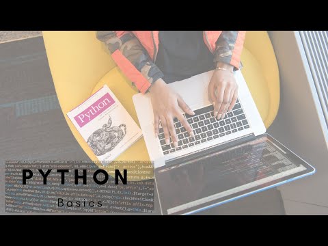 Chapter 2 Python Basics