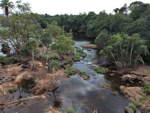 L'ecologia dei pesci del fiume Waangje, Sierra Leone.