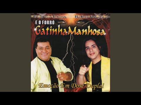 O Fim da Nossa História (Bye Bye) - Gatinha Manhosa