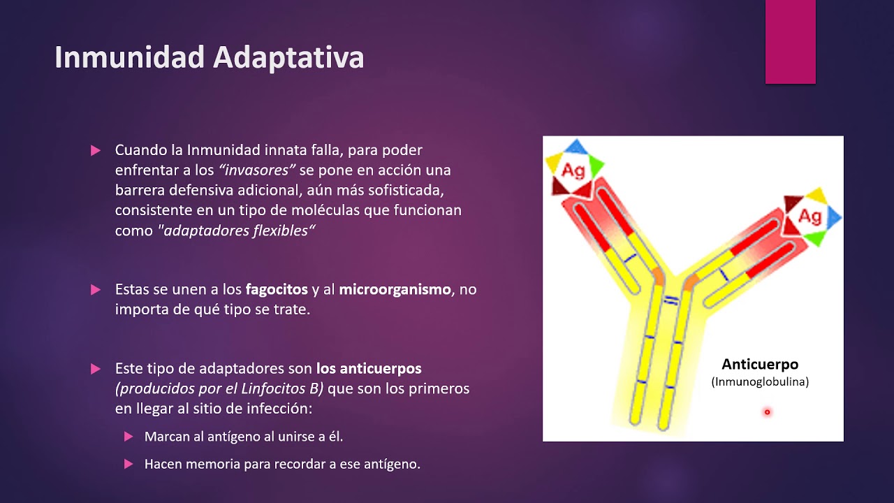 Inmunidad Adaptativa (Humoral y Celular)