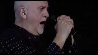 Peter Gabriel - The Family And The Fishing Net Live (Back to Front Tour - London)