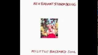 New Radiant Storm King - Every Day Is Mother's Day 1993