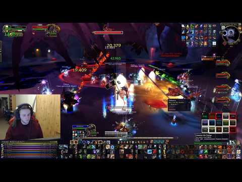 Il gynoth, die Wiedergeborene Verderbnis Heroisch BM Hunter PoV by Pantheropis