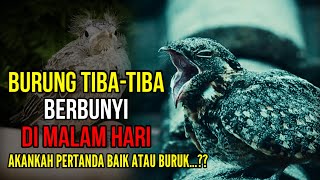 Download lagu APAKAH PERTANDA BAIK ATAU BURUK...?? JIKA ADA BURUNG TIBA-TIBA BERBUNYI DI MALAM HARI mp3