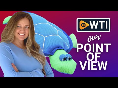 Big Joe Pool Petz Turtle - WTI product video review