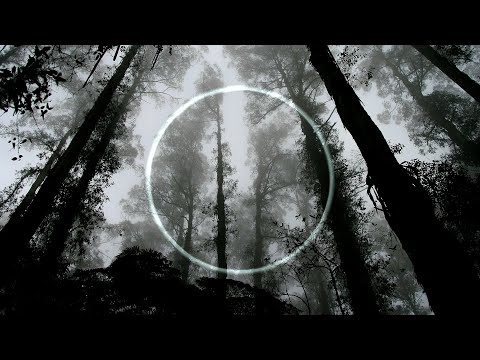 Source Tantric Sexual Energy from Sacred Earth - Summon The Forest Spirits | Charge The Root Chakra