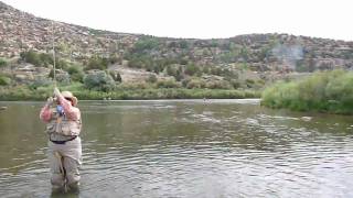 preview picture of video 'Big trout by Anne W San Juan River July 09'