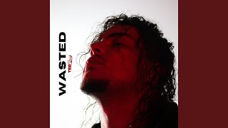 Wasted Music Video