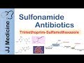 Sulfonamide Antibiotics Bacterial Targets Mechanism Of Action Adverse Effects