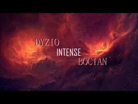 Dyzio x Bocian - Intense